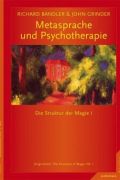 Metasprache und Psychotherapie